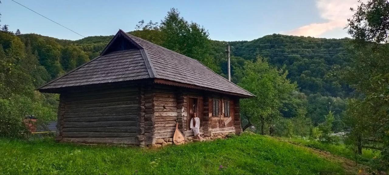 Вилла Під Горою Шешоры Экстерьер фото